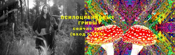 марки lsd Рославль