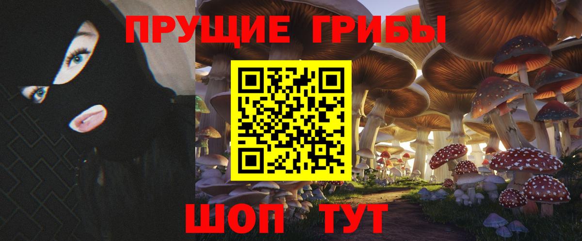 Челябинск  Псилоцибиновые грибы Cubensis  Псилоцибиновые грибы мицелий  Вход с VPN 