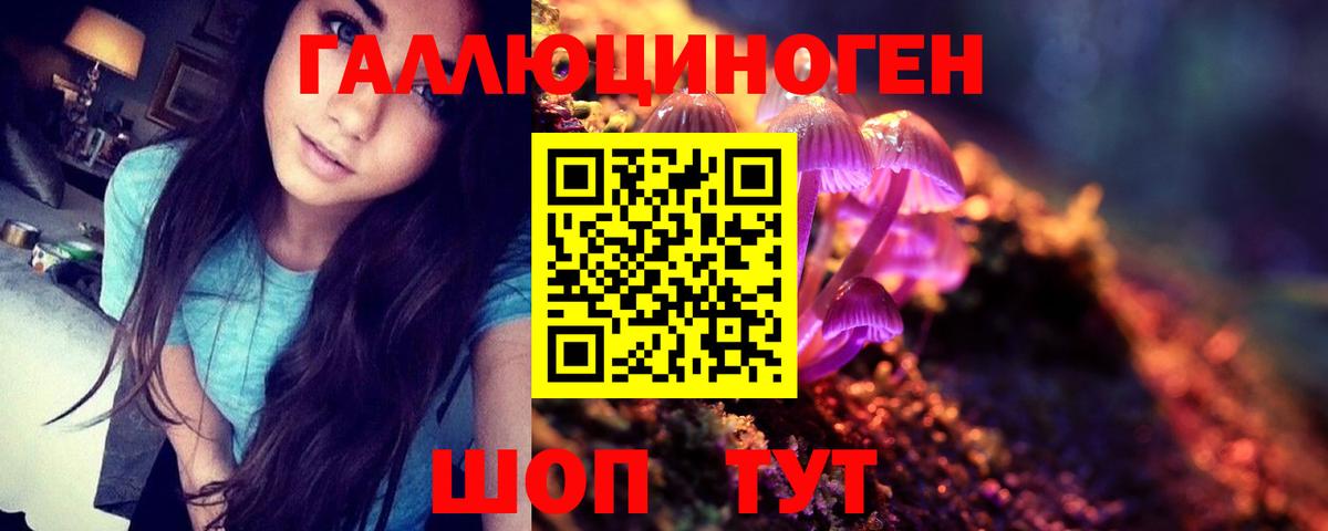 Галлюциногенные грибы мухоморы  Челябинск  Псилоцибиновые грибы мицелий 