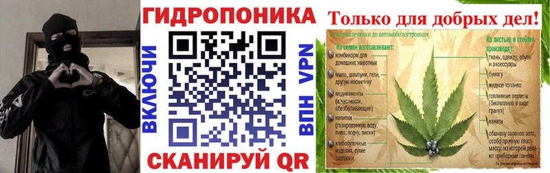 Каннабис сатива  Челябинск 